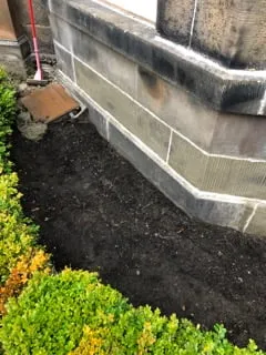 Repaired base course of a stone wall with fresh mortar, soil dug away at ground level